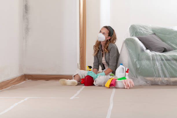 Reliable Basement Mold Remediation contractor in Bridgman, MI by Mold Remediation HQ
